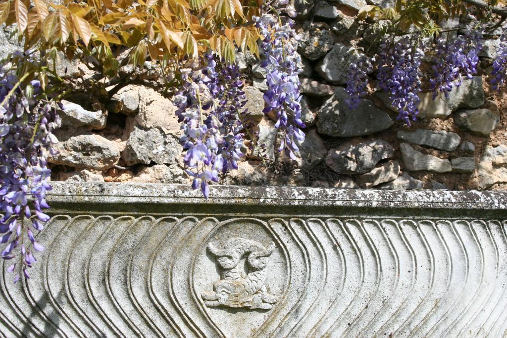 Domaine De La Blaque - B&B Varages Rom bilde